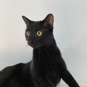 Meet your Posher, Mary lyle